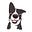 Lucy Jane's avatar