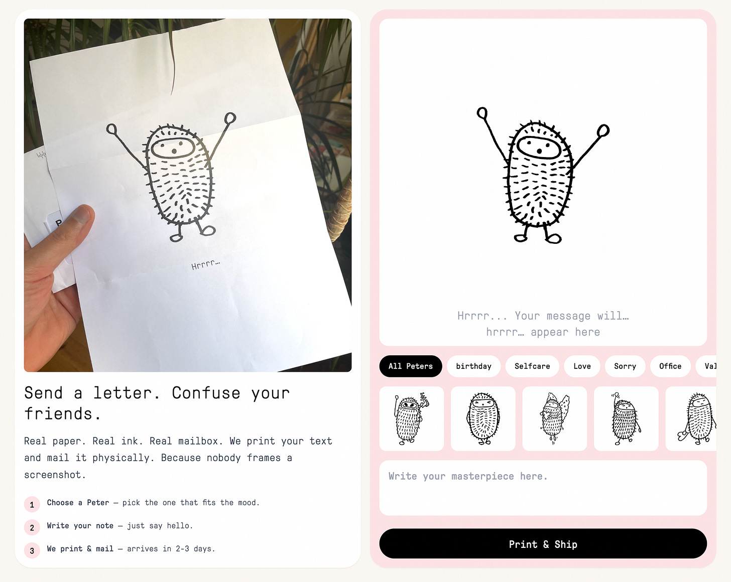 Peter. A tiny companion for a big, complicated world.