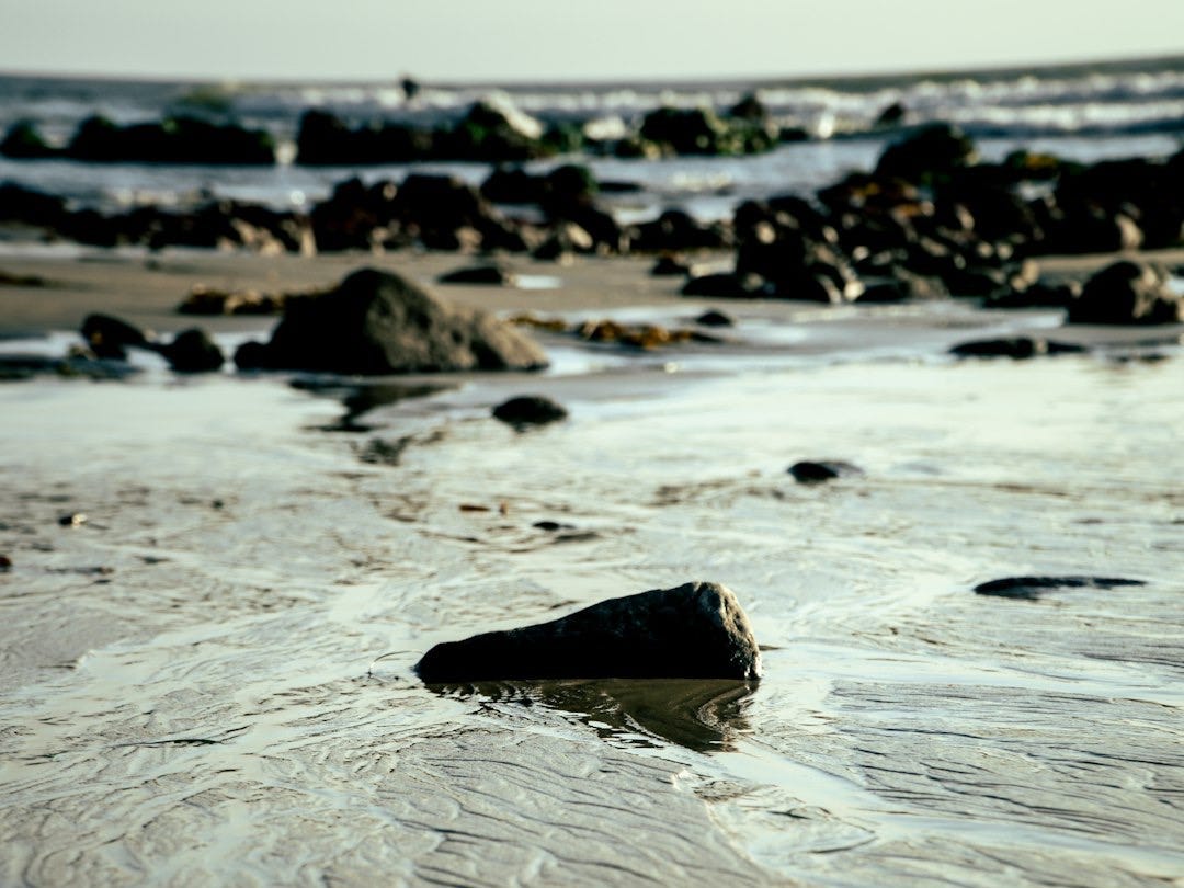 a rocky beach with a large body of water in the background