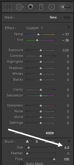 How to Fix Skin Tones in Lightroom