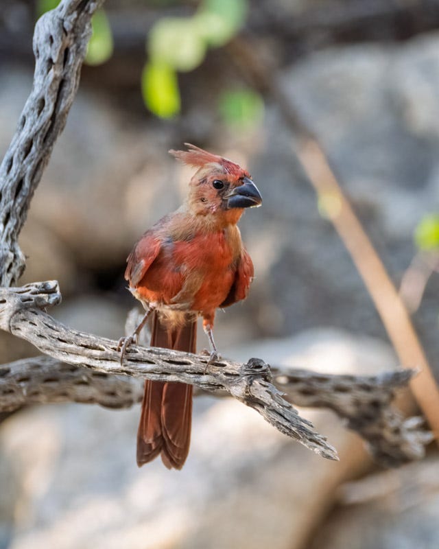 20250911-mby-33-Edit.jpg 20250911-mby-33-Edit.jpg