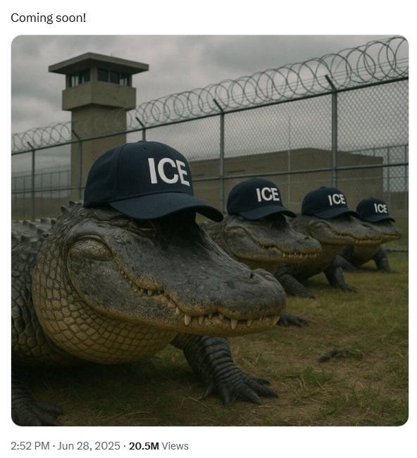 18 Days: How Long it Took to Expose Alligator Alcatraz as a Humanitarian Disaster