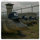 18 Days: How Long it Took to Expose Alligator Alcatraz as a Humanitarian Disaster