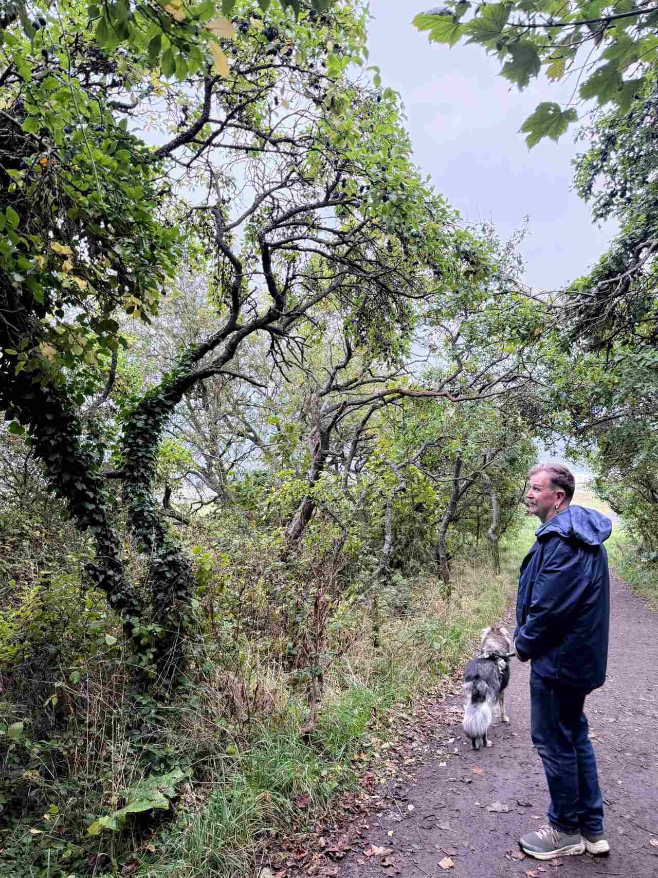 Dru Jaeger walking in the woods