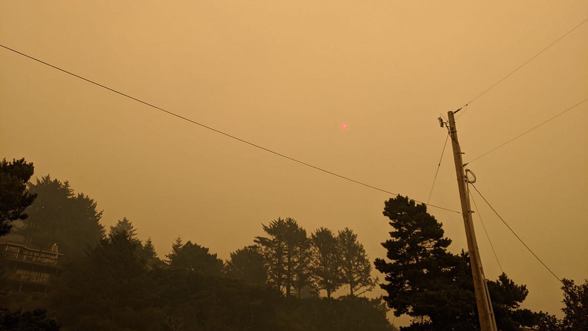 Amidst salt and smoke