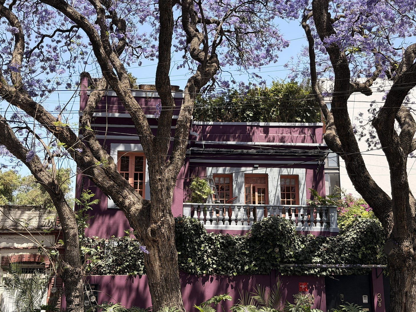 Roma Norte guesthouse 