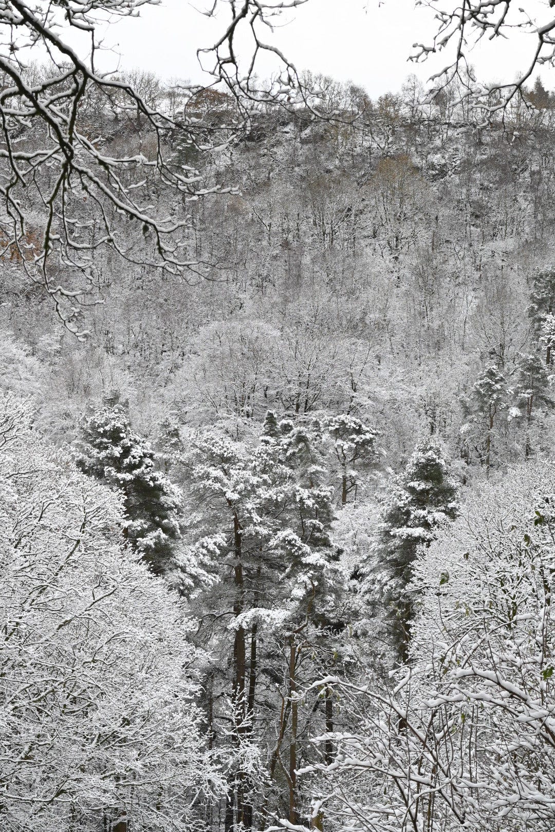 hardcastle crags