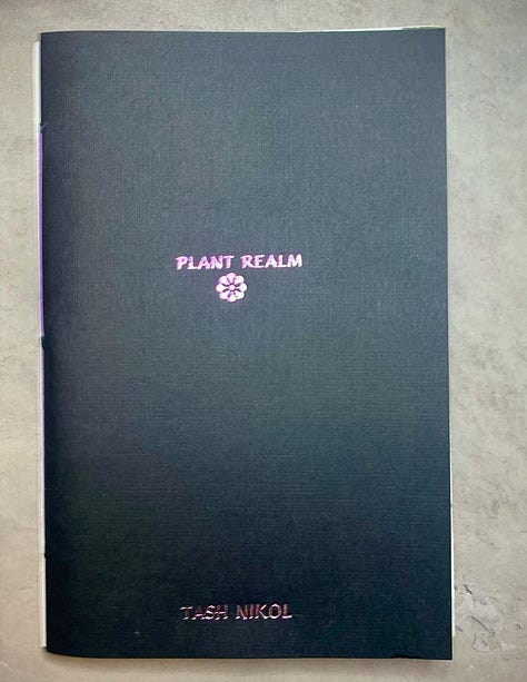 Images of the book which has a black cover and iridescent foil stamped of the words Plant Realm