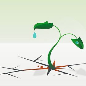 The Tears I Cannot Cry