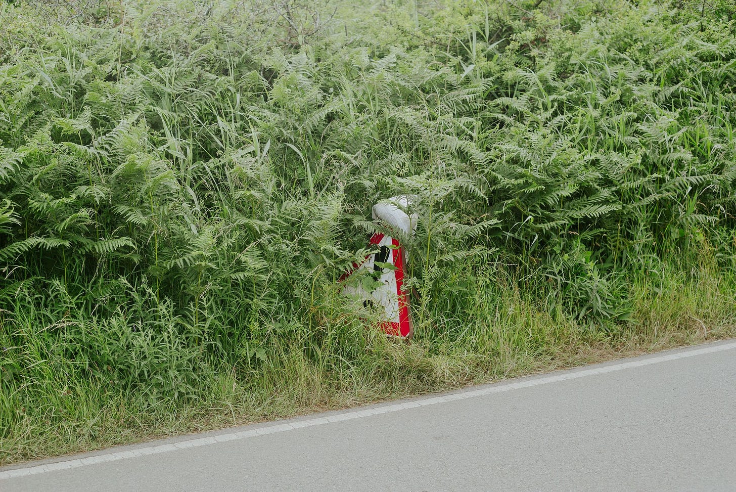 A red and white sign with an exclamation mark on sits in a bunch of green weeds at the side of a road.