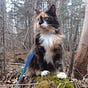 Supernaturegirl's avatar