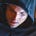 evan drake's avatar
