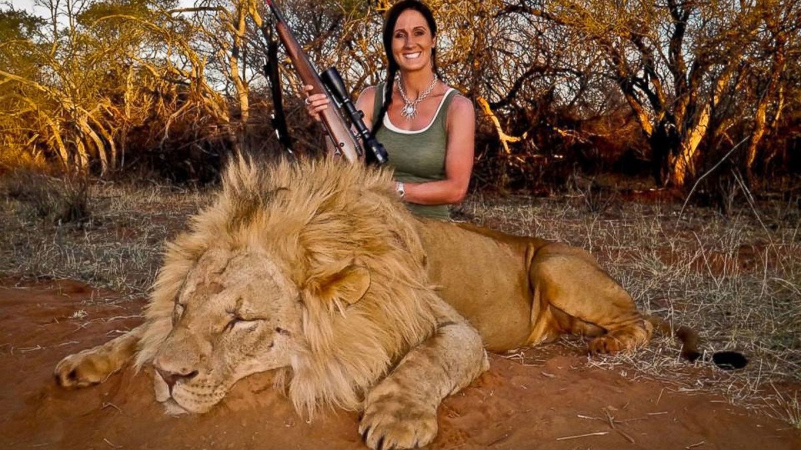 Death of Lion