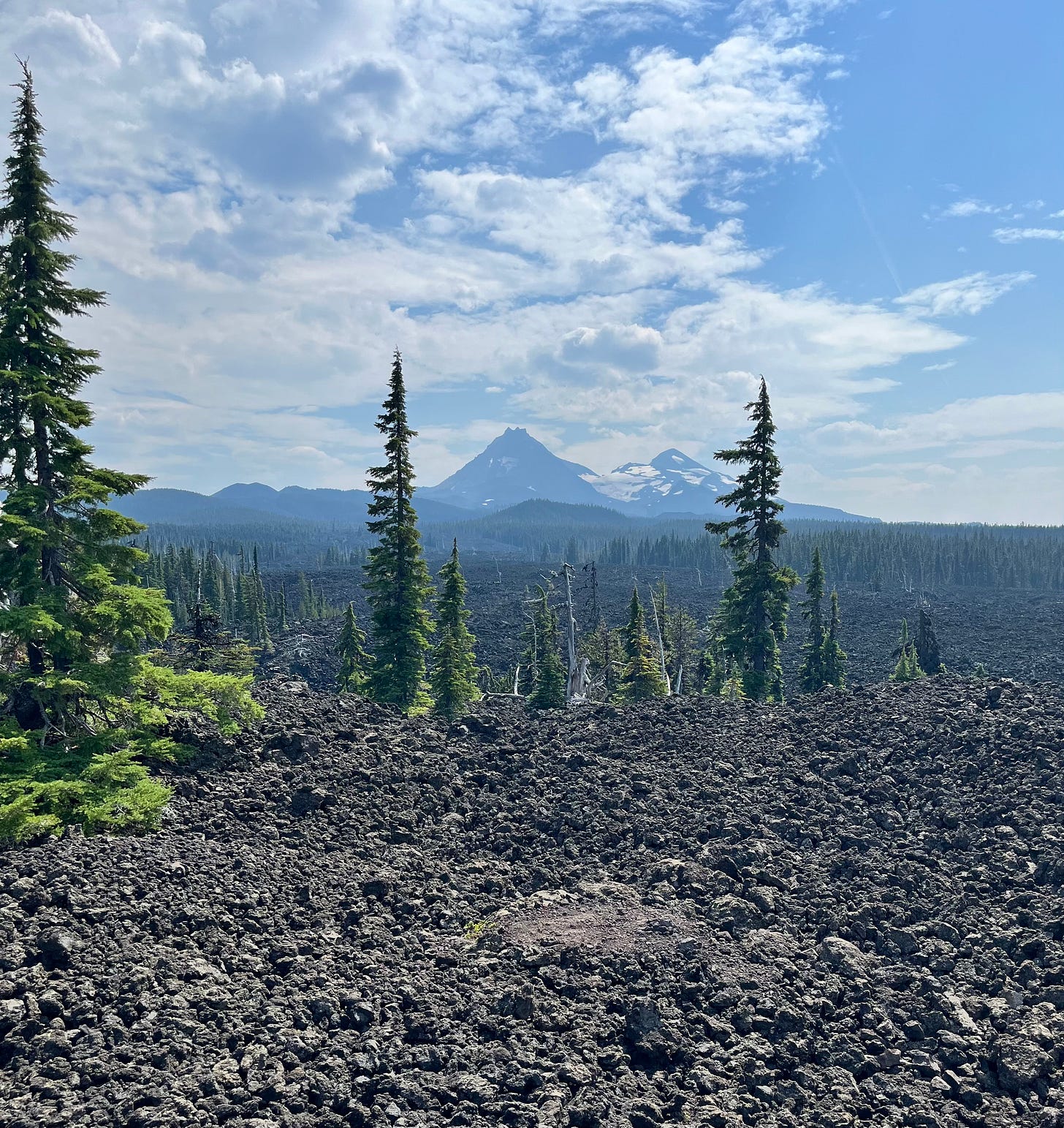 a vista looking out at the Sisters mountain range with a laval field and tall trees in front. Blue sky with fluffy clouds