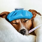 Doctor's Guide: 5 Research-Backed Ways to Get Sick Less