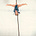 Gina Zante's avatar