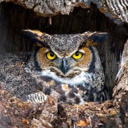 Postcards from the PNW