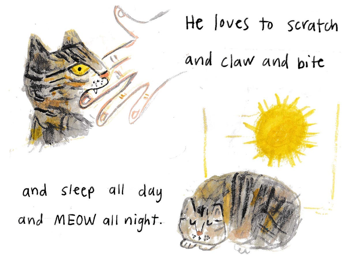cat biting hand and cat sleeping illustrations by beth spencer