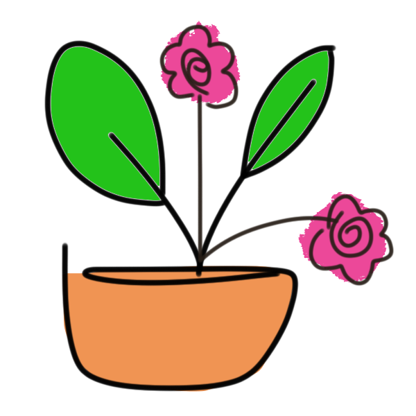 Anne’s balcony garden