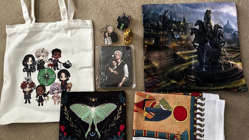 Some of the items in the swag pack
