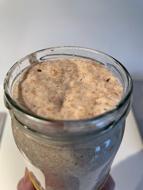 107 year old organic rye sourdough starter, sourdough bread, dehydrated starter, Australian flour, bake sourdough at home, rye, water, salt, RNR Sourdough, Rock n Roll Sourdough