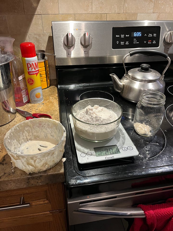 first mix of sourdough and refreshing the starter