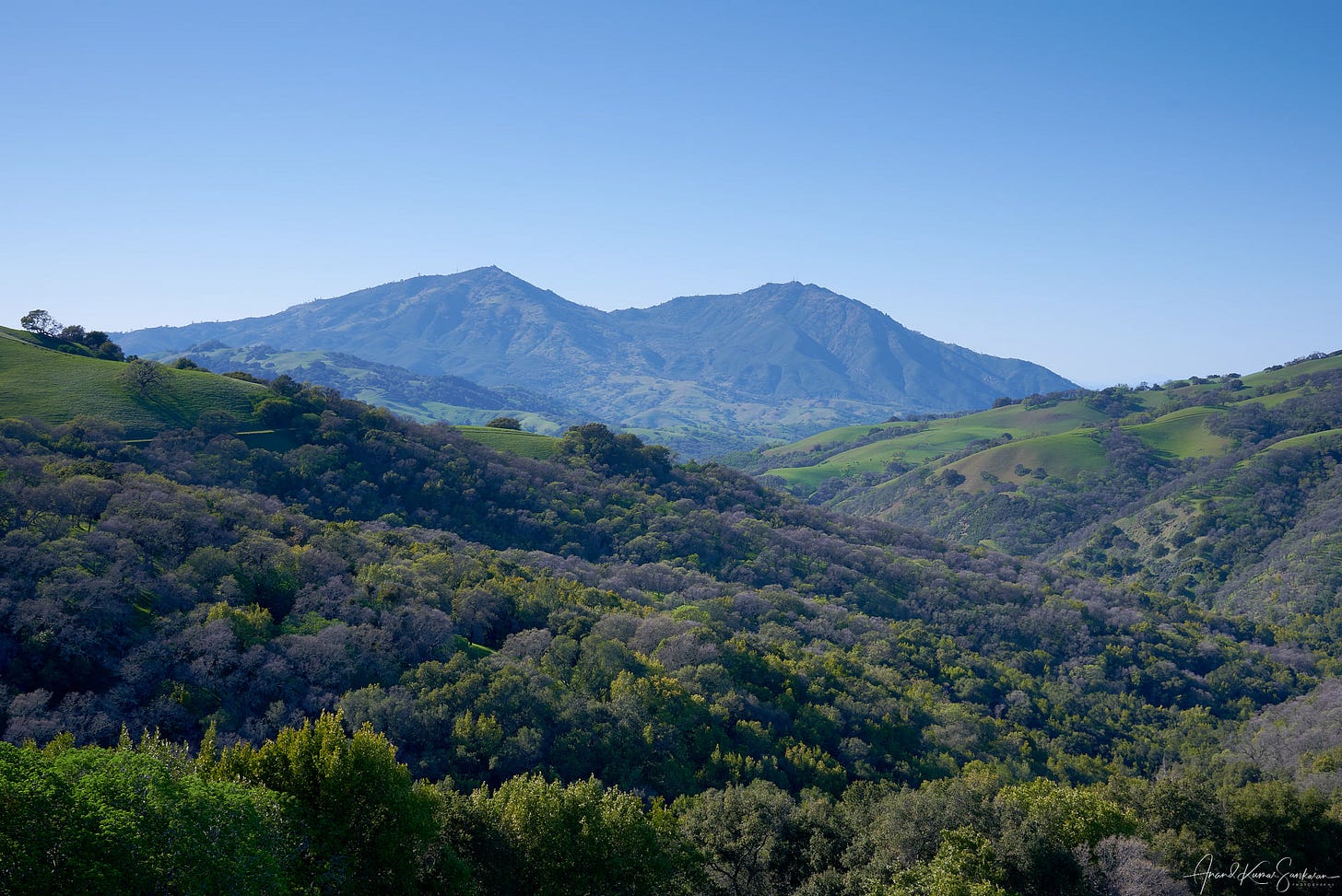 May be an image of mountain, tree, nature and sky