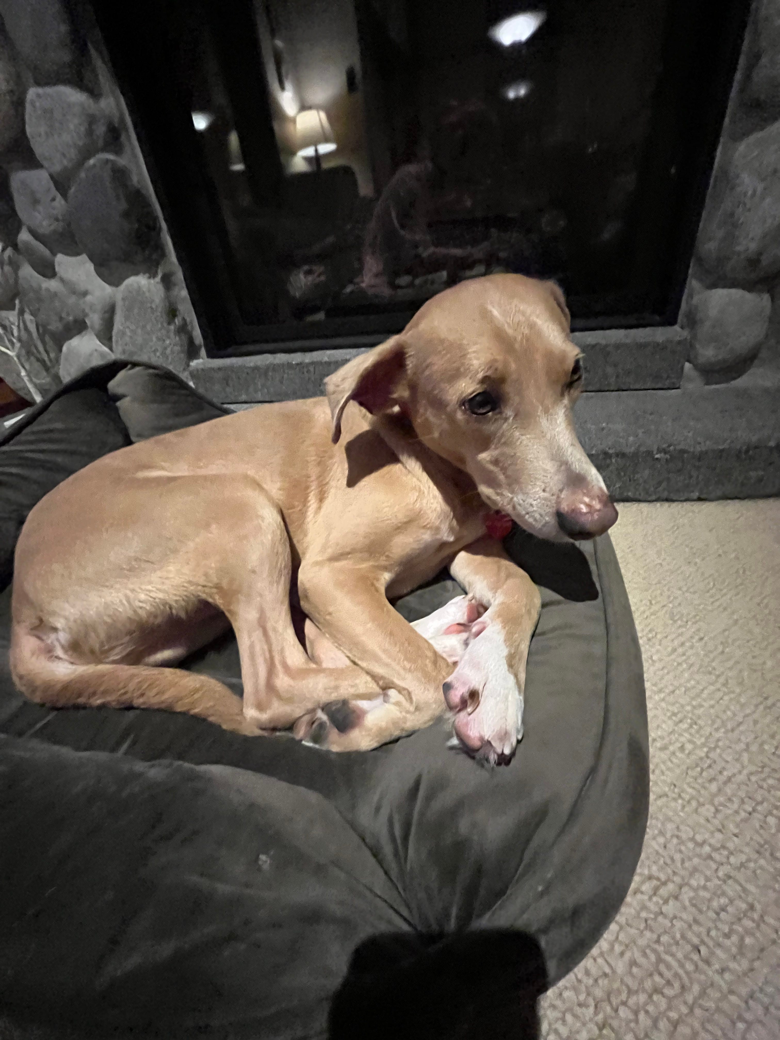 Artwork for Nhendo’s Substack