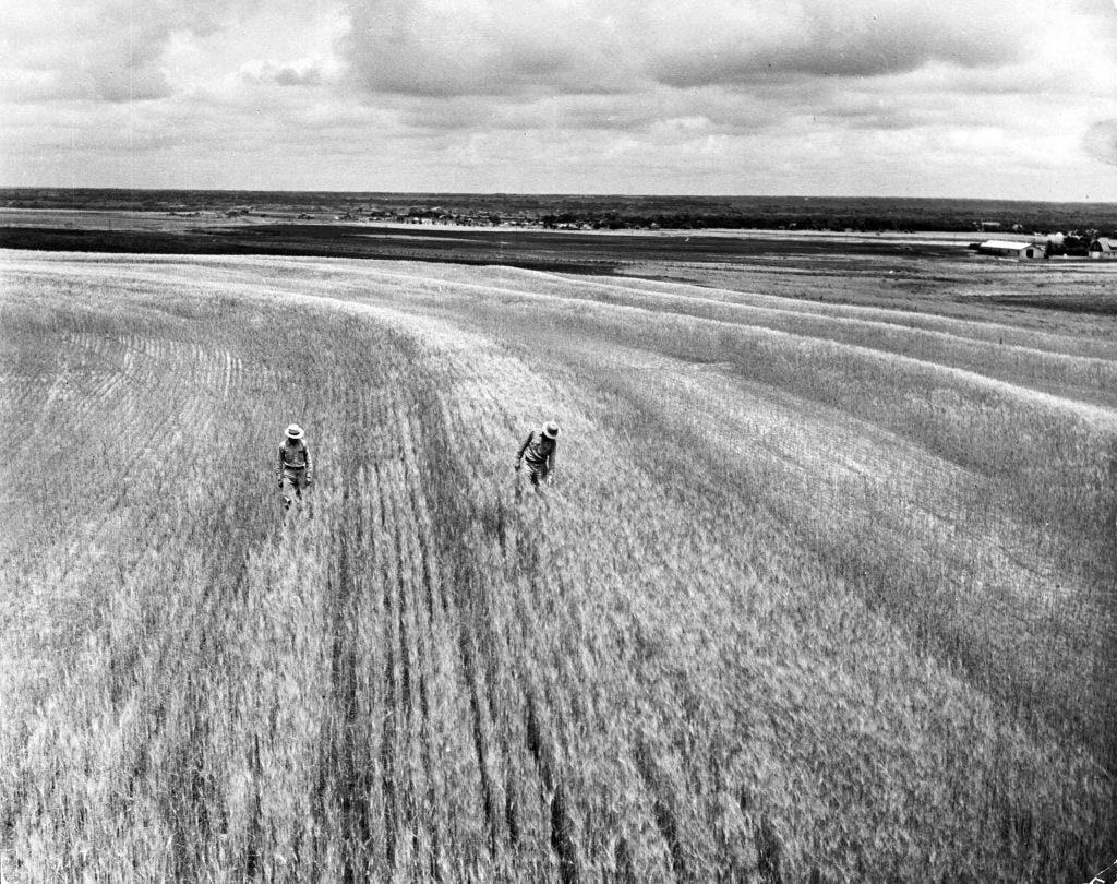 Oklahoma, 1942. Agriculturists work on the region's catastrophic on erosion problem.