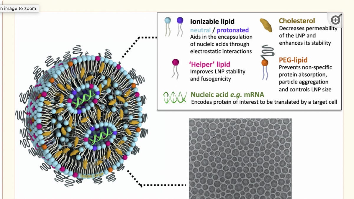 naomiwolf.substack.com