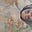 dass's avatar