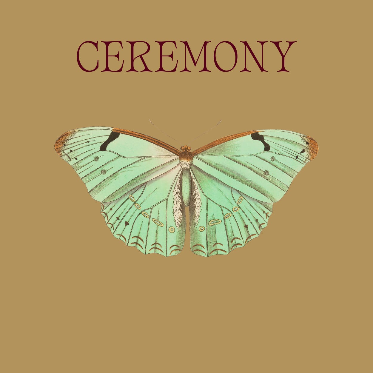 Substack profile picture for @ceremonies