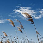 The winds of catastrophe are stirring