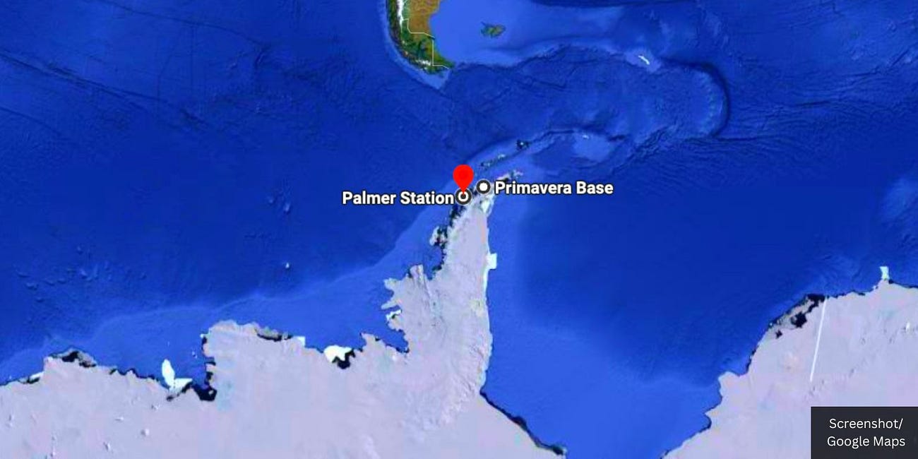 H5N1 Bird Flu Detected in Antarctica Right Next to U.S. Biolab After USDA Performs Risky Gain-of-Function Experiments On and Develops Vaccine For Same Virus