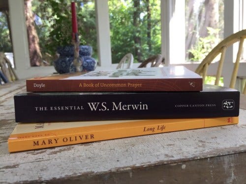 summer read summer read