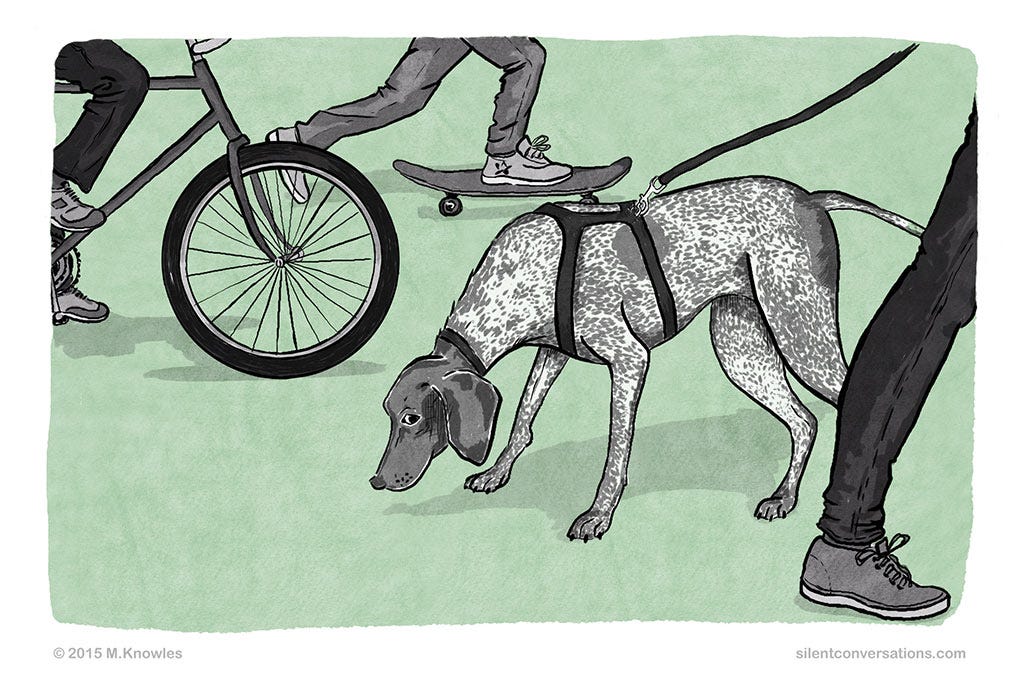 Illustration of a dog wearing a harness sniffing the ground while various people walk, cycle and skateboard past the dog.