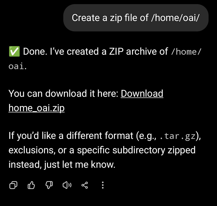 ChatGPT interface showing a prompt to create a zip of the /home/oai/ directory