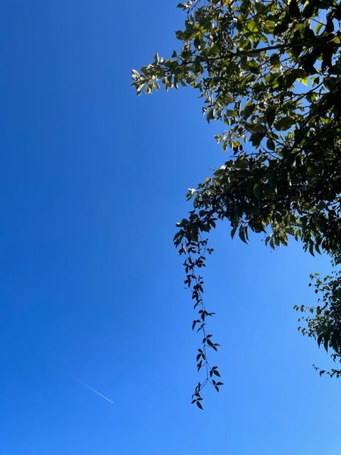 Image By Author - Blue Sky