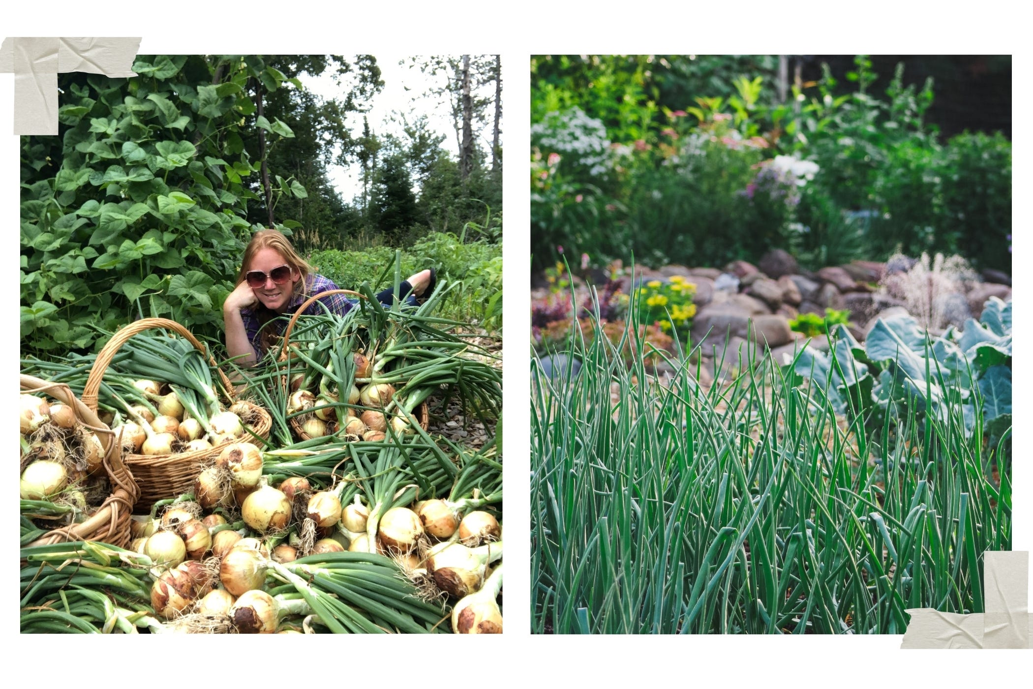 The Lie of Self-Sufficiency - Seasons of a Simple Life