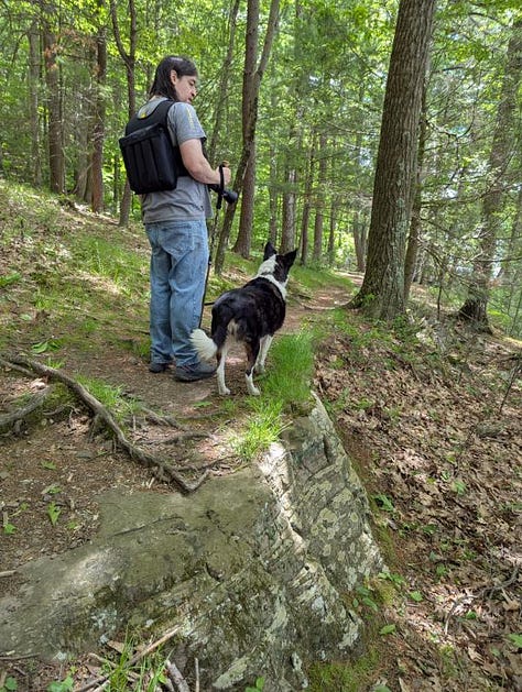 Photos from various hiking locations. Appalachian Tiger Swallowtail butterfly in photo 8