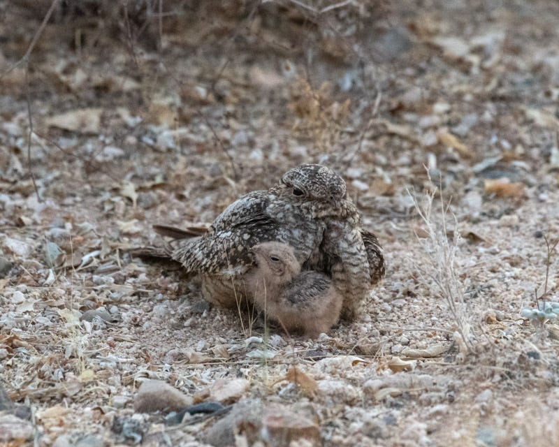 20200621_LN-119.jpg 20200621_LN-119.jpg