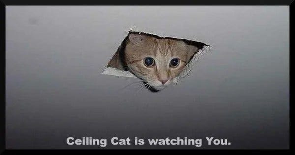 big brother | casandersdotnet