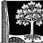 The Falcon's Children