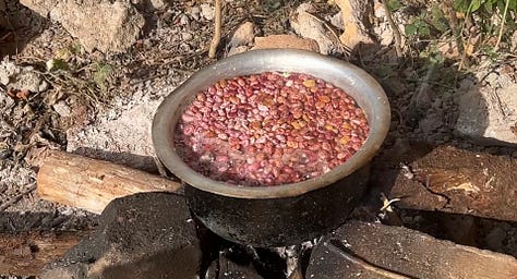 Kids in Uganda, Africa eating at school thanks to their nourishment program dedicated to feeding all the students at their rural school in the village that mostly consists of impoverished children.
