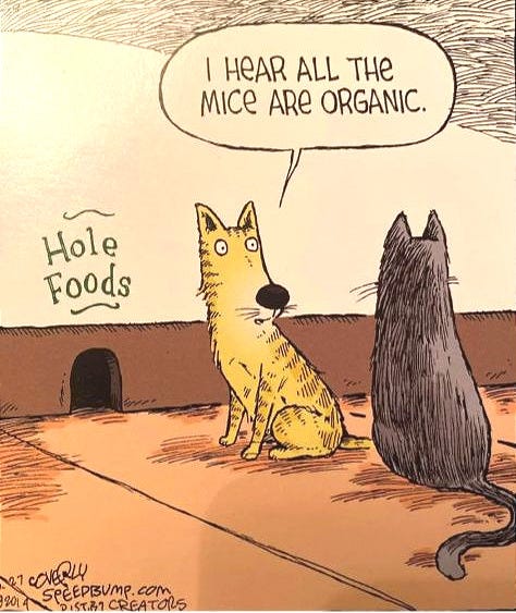 May be an image of text that says '|HEARALLTHE I HeAR ALL THE MICE ARe ORGANIC. Hole Foods 21 oνσ 201 SPEEPBUme.cOm SPEEPBUMP com 0125 CREATORS' May be an image of text that says '|HEARALLTHE I HeAR ALL THE MICE ARe ORGANIC. Hole Foods 21 oνσ 201 SPEEPBUme.cOm SPEEPBUMP com 0125 CREATORS'