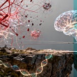 Buchdialoge 📚 Zusammenfassungen per Podcast