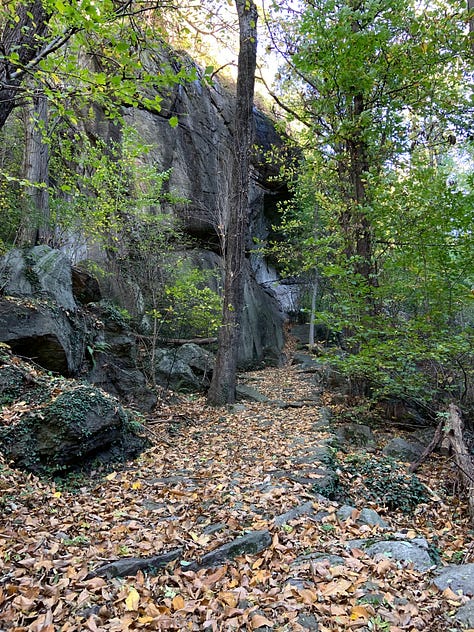 Autumn Walks In The Forests And In The Mountains: The Perfect Escape From City Life
