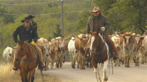 Cattle Drive (Texas Country Reporter) - YouTube