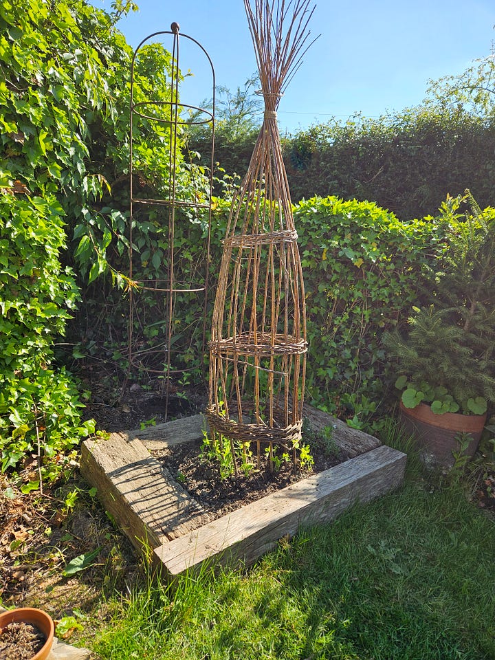 Garden life is taking shape