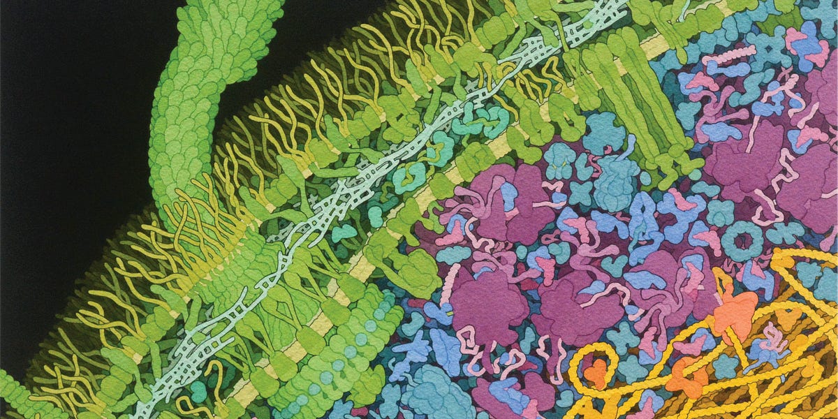 The Molecular Revolution in Biology: The History, Structure, and Future